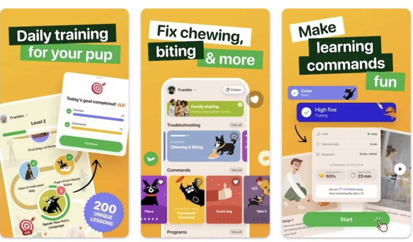 Bootstrapped Success: How Woofz Achieved $20M ARR Without VC Funding