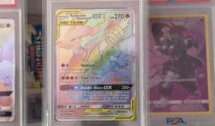 How Collectr Turned a Trading Card Hobby into an Eight-Figure Business