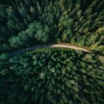 Ontario Boosts Forest-Based Innovation Accelerator CRIBE with $5 Million Investment