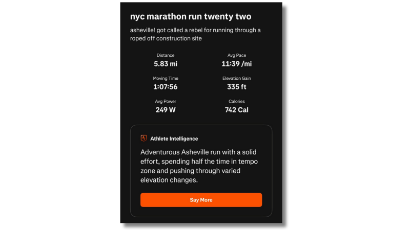 The Limitations of AI-Generated Fitness Summaries
